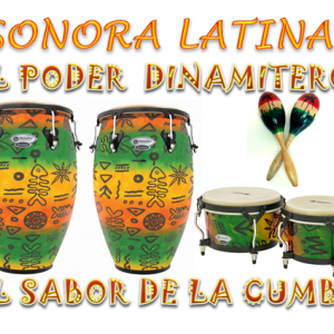 1d611187-4832-427a-beca-4b7373830ba4.png